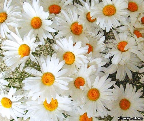 Поздравляем с Днем рождения. Ирина, Сергей